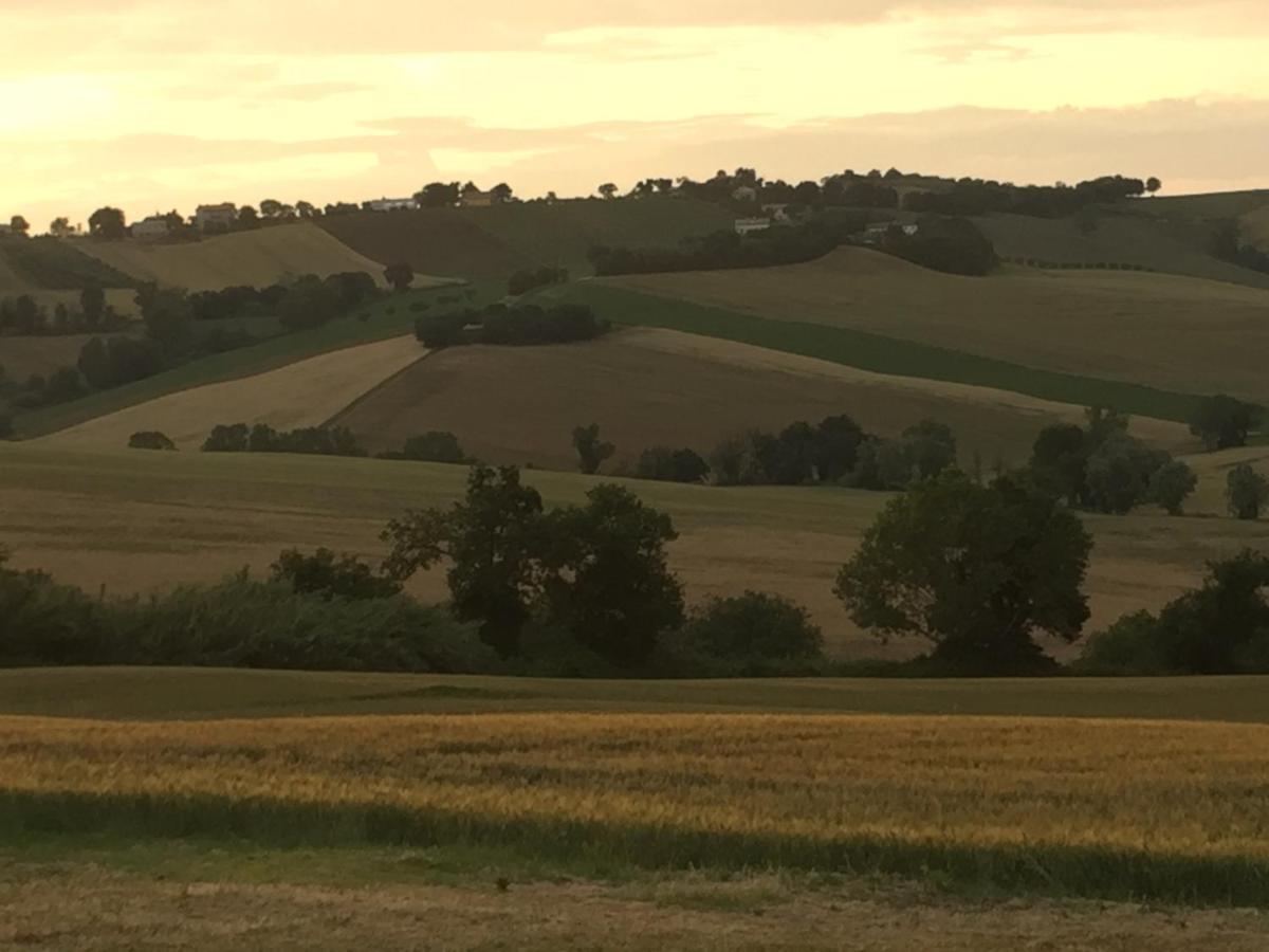 Il Giardino Nella Valle Belvedere Ostrense Екстер'єр фото