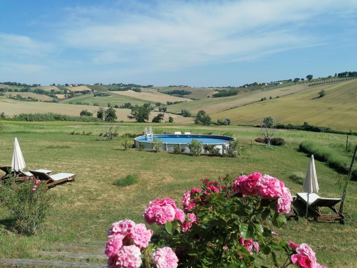 Il Giardino Nella Valle Belvedere Ostrense Екстер'єр фото