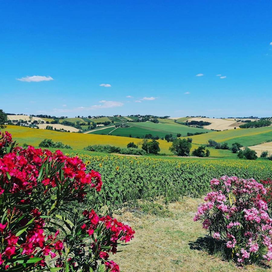 Il Giardino Nella Valle Belvedere Ostrense Екстер'єр фото