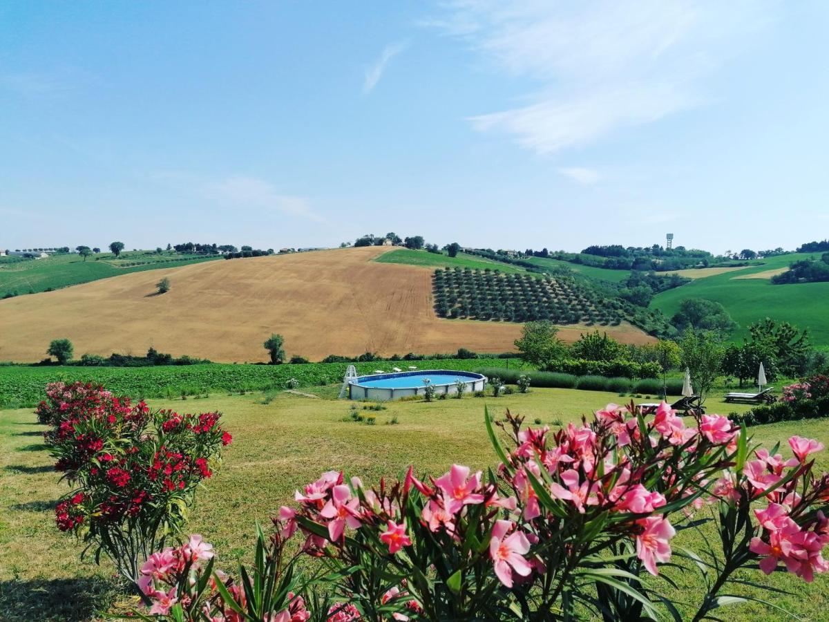 Il Giardino Nella Valle Belvedere Ostrense Екстер'єр фото