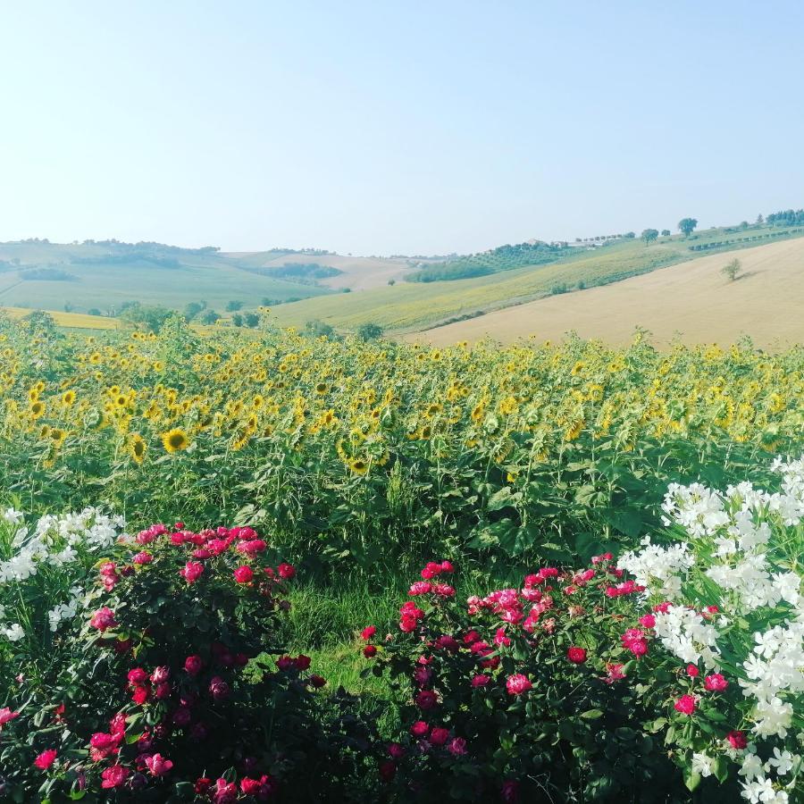 Il Giardino Nella Valle Belvedere Ostrense Екстер'єр фото