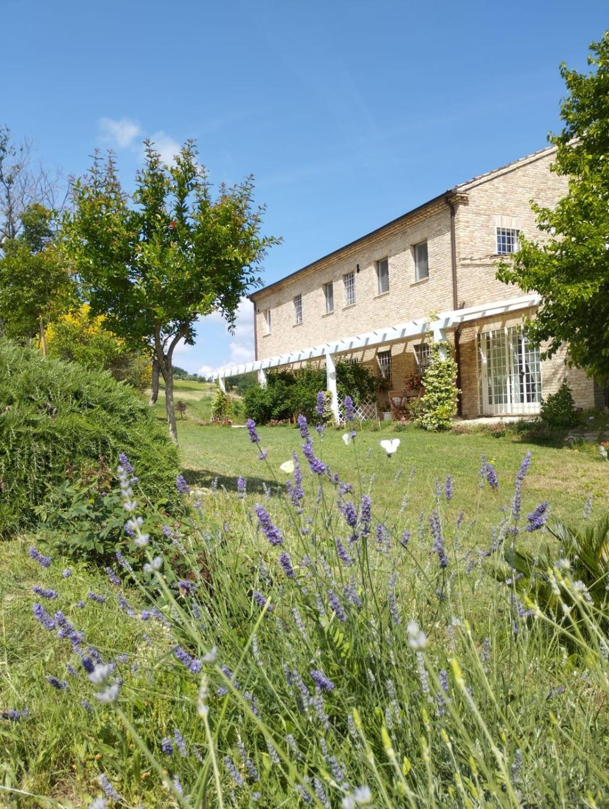 Il Giardino Nella Valle Belvedere Ostrense Номер фото