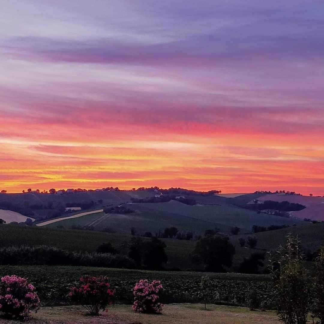 Il Giardino Nella Valle Belvedere Ostrense Екстер'єр фото