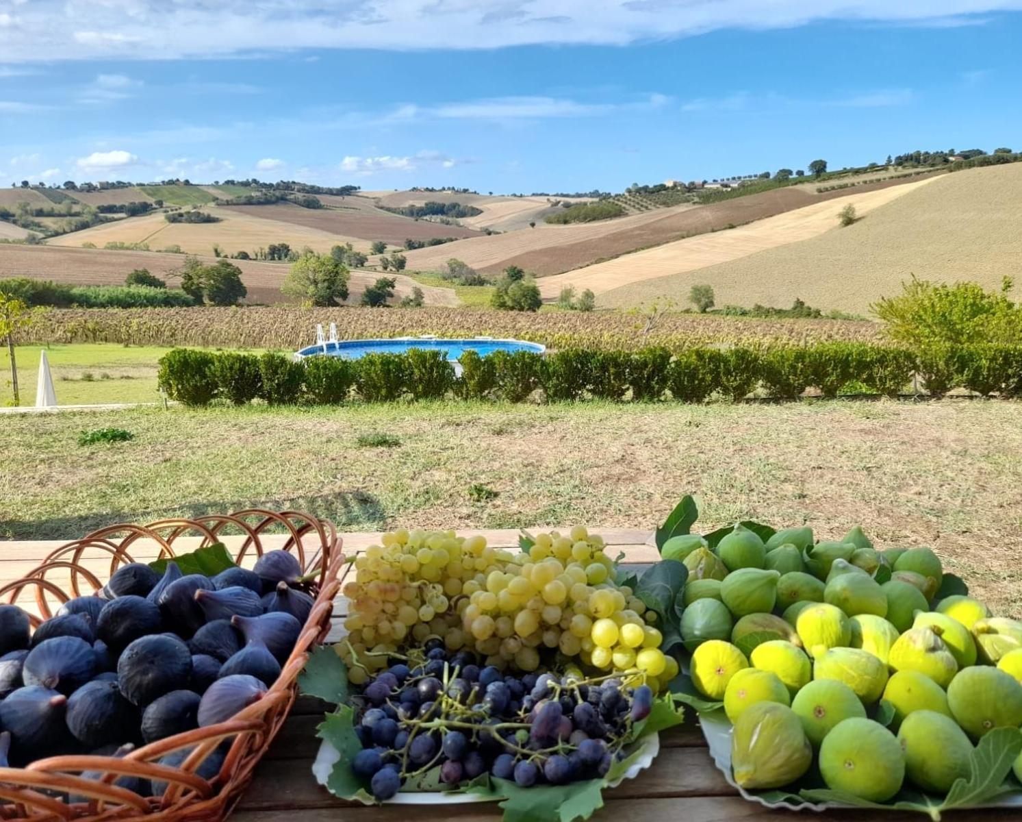 Il Giardino Nella Valle Belvedere Ostrense Екстер'єр фото