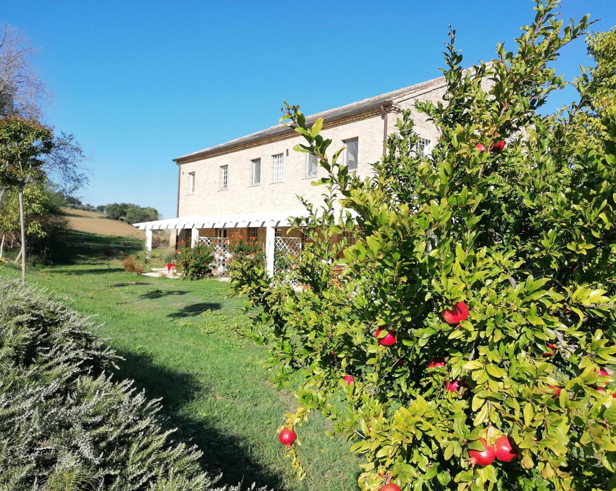 Il Giardino Nella Valle Belvedere Ostrense Екстер'єр фото