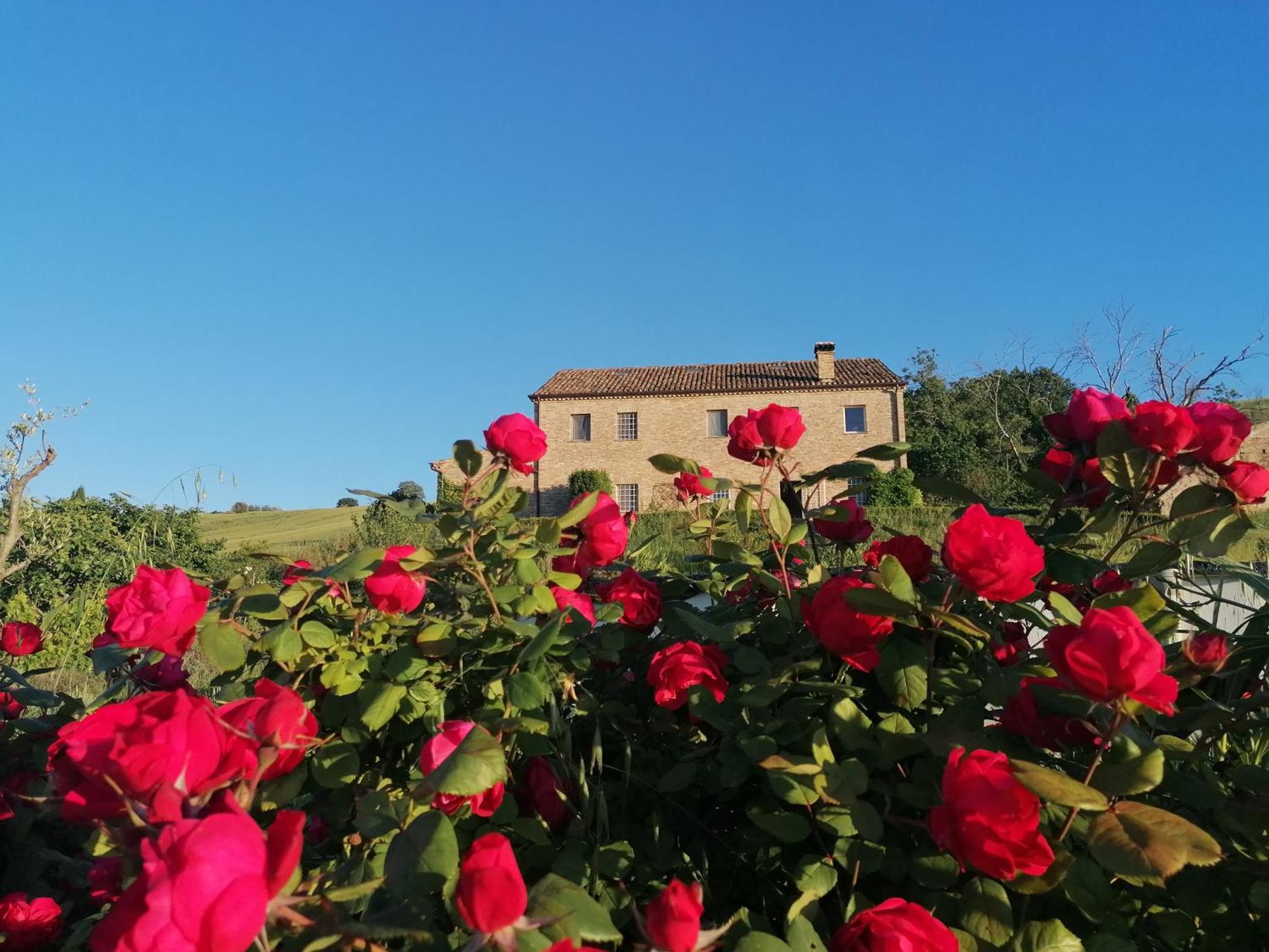 Il Giardino Nella Valle Belvedere Ostrense Екстер'єр фото