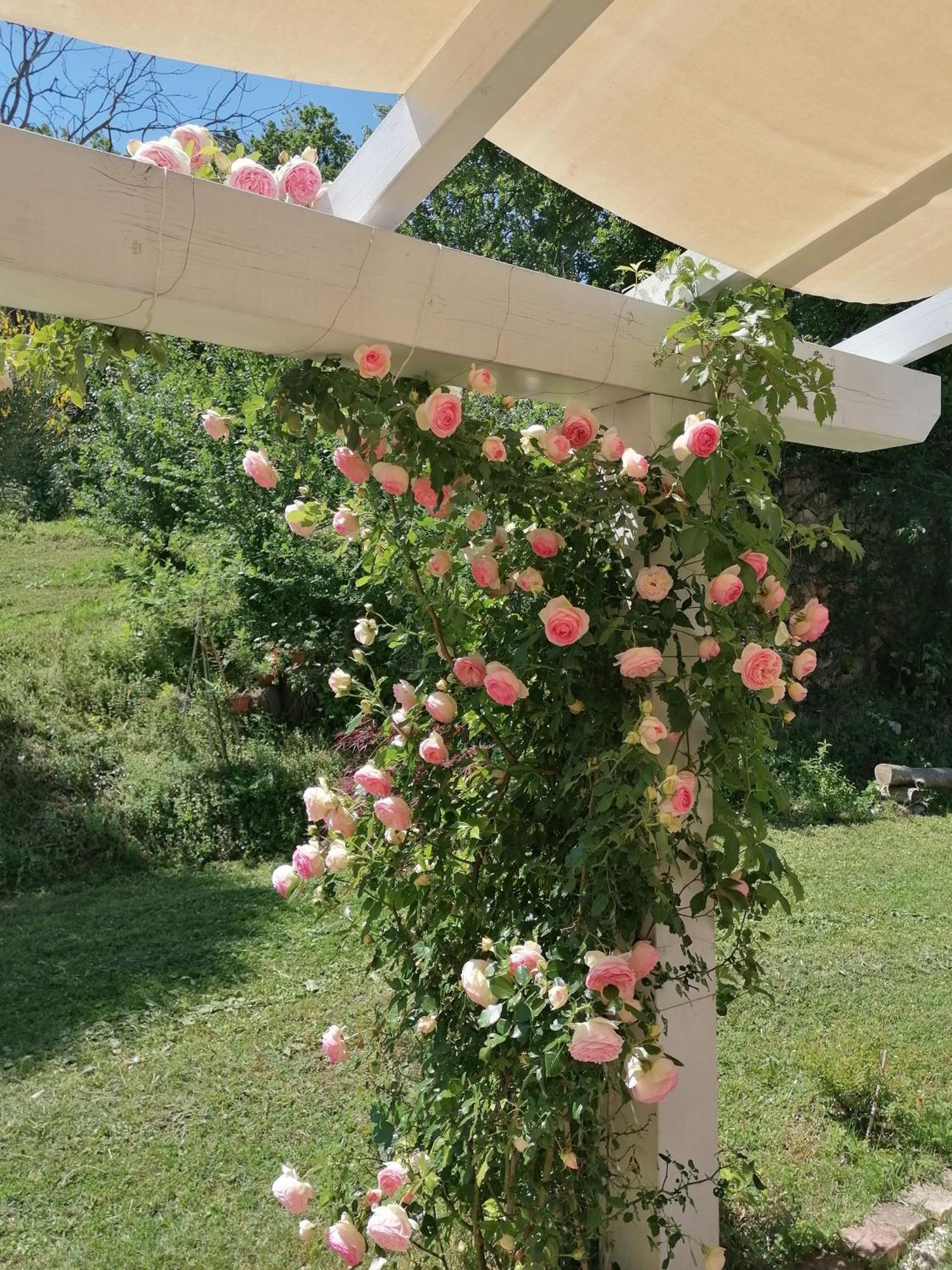 Il Giardino Nella Valle Belvedere Ostrense Екстер'єр фото